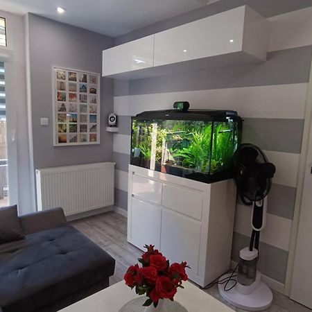 Apartament Rodzinny Z Ogrodkiem W Centrum Gizycka Giżycko Exterior foto